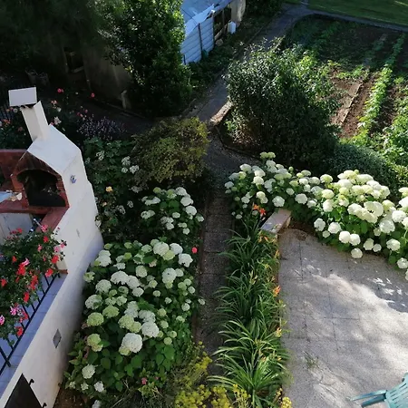 D'hotes Le Pavillon Du Charme Bed & Breakfast *